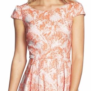 Betsey Johnson Print Fit Flare Cocktail Dress
